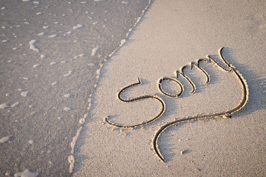 Sorry message handwritten in calligraphy lettering on smooth sand beach