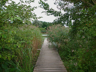 Lörrach Grüttpark im Südwesten Baden-Württembergs. Naturlehrpfad und Landschaftspark im Grütt mit kleinem See, wald, wiesen und Rosengarten