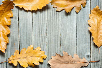 Naklejka na ściany i meble autumnal leaves on wood background