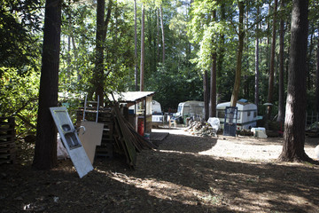 Abandon Caravans in the Forest