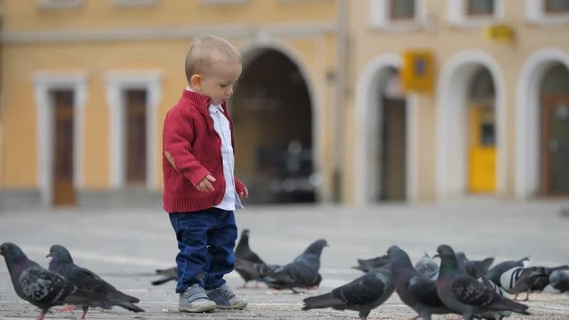 Baby child and mother feet feeding together pigeons, learn to love animals