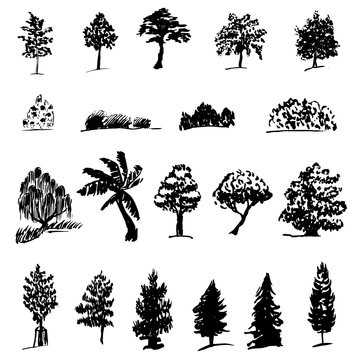 Set of silhouettes of various trees