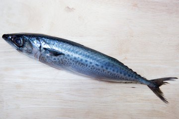 Fresh saba fish (Mackerel) on wood background.