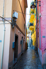 Fototapeta premium Narrow street in a village of the 5 terres, Italy