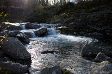 Mountain river on a clear day