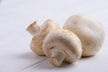 champignon with leaf lettuce