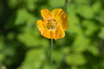 Obraz premium OLYMPUS DIGITAL CAMERA