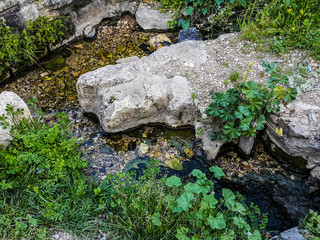 Water spring steam running between rock.