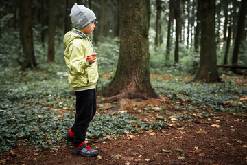 Little boy is lost in dark forest