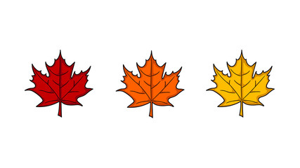 Maple leaf