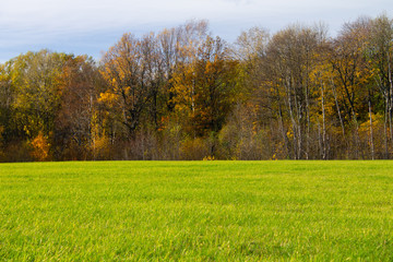 Autumn landscape with trees and lawn in the foreground.