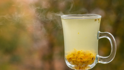 Hot Vitaminic healthy sea buckthorn tea in small glass glass with fresh raw sea buckthorn berries