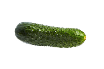 One green fresh gherkin isolated on white background