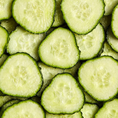 Sliced gherkin. Fresh slices of cucumber as background