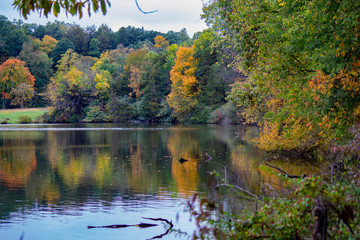 Fototapeta premium Lake