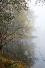  Beautiful autumn state of nature in the early foggy October morning