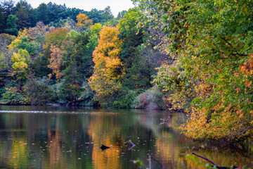Fototapeta premium Lake