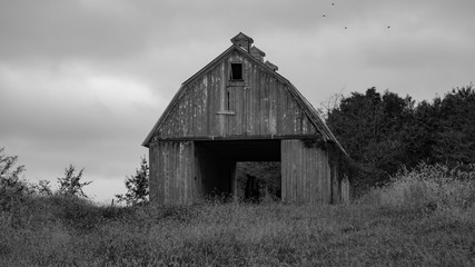 Fototapeta premium Barn