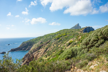 Fototapeta na wymiar Mallorca, Reisen, Urlaub, Länder, Pflanzen, Abenteuer, Meer, Wasser, Strand, Reisen