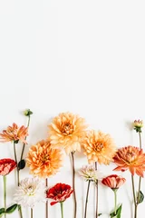 Selbstklebende Fototapeten Colorful dahlia and cynicism flowers on white background. Flat lay, top view. © Floral Deco