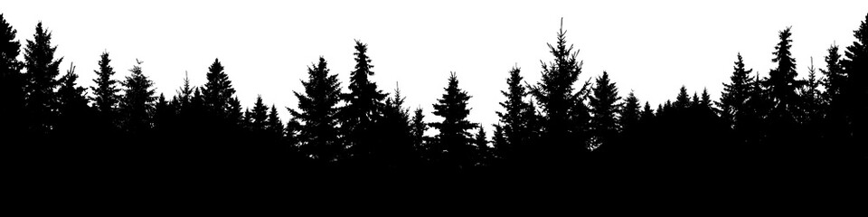 Seamless silhouette of coniferous forest, vector. Evergreen Christmas Tree, spruce, fir. Isolated vector on white background © nosyrevy