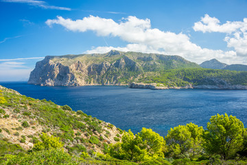 Mallorca, Reisen, Urlaub, Länder, Pflanzen, Abenteuer, Meer, Wasser, Strand, Reisen © BerndVollmer
