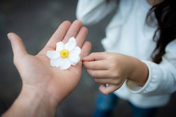 白い花を手渡す親子