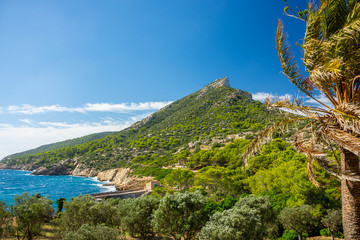 Mallorca, Reisen, Urlaub, Länder, Pflanzen, Abenteuer, Meer, Wasser, Strand, Reisen © BerndVollmer