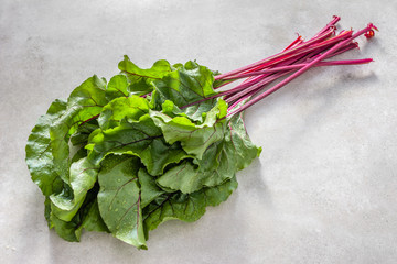 Freshly harvested organic produce - farm fresh leaves of beet, green leafs and red stem