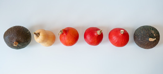Hokkaido and Butternut sqashs with white background