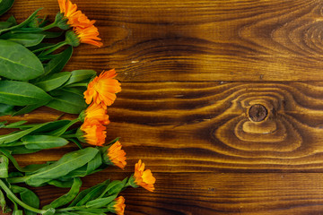 Calendula flowers on the wooden background. Top view, copy space