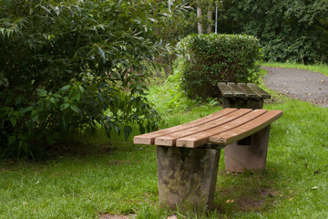 Benches in park