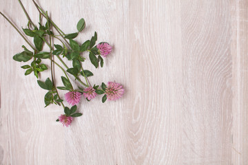 Clover on ф wooden background