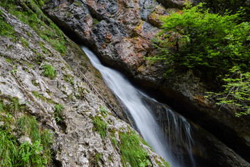 Hell Gorge (soteska Pekel) is a 1.5-kilometre gorge in Slovenia. The creek has many erosion features such as pools, rapids, and waterfalls, of which five are distinct as they plunge from 20 to 5 m.
