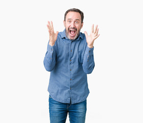 Fototapeta premium Handsome middle age elegant senior man over isolated background celebrating crazy and amazed for success with arms raised and open eyes screaming excited. Winner concept