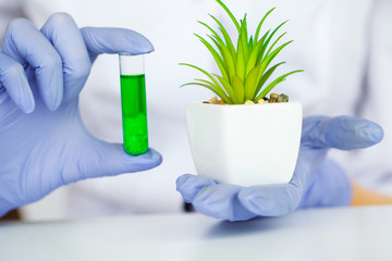 Medicine. Lab Technician Doing Chemistry Experiment. Close Up Of Scientist Checking Test Tube In...