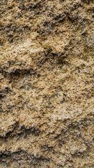Close-up rock texture.