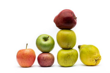 composition with seven different types of apples