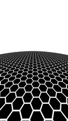 White honeycomb on a black background with a white horizon. Perspective view on polygon look like honeycomb. Ball, planet, covered with a network, honeycombs, cells. 3D illustration
