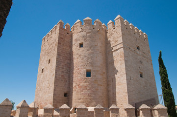Fototapeta na wymiar Puente Romano, Torre de la Calahorra, Córdoba, Andalusien, Spanien