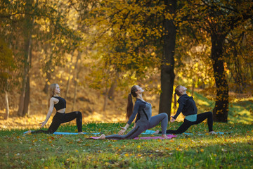 Group of Young women doing Yoga action exercises in the park. Healthy lifestyle concept.