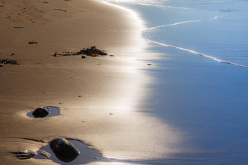 Rocks and Seaweed on Beach with Reflections of Sunlight