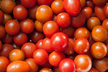 Delicious red tomatoes. Summer tray market agriculture farm full of organic vegetables It can be used as background. (selective focus)