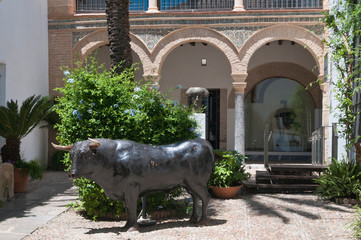 Stierkampfmuseum Córdoba, Museo taurino, Cordoba, Andalusien, Spanien