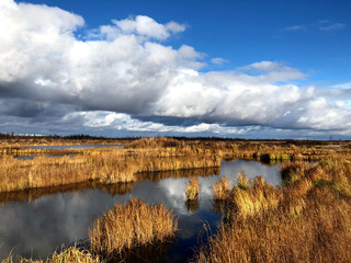 lake in autumn