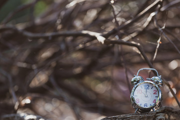 Retro Alarm Clock in the garden