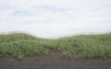 Einsame Dünenlandschaft im Süden Islands