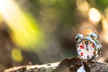 Retro Alarm Clock in the garden