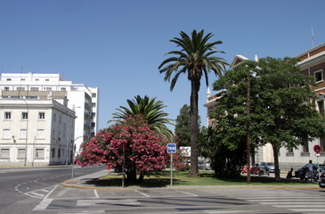 Fototapeta na wymiar View of the ancient sea city of Cadiz