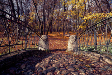 Autumn park landscape - small stoned bridge in the autumn park among the trees and dry leaves.